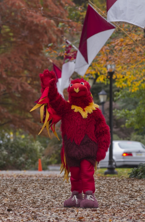 phineas the phoenix mascot on campus